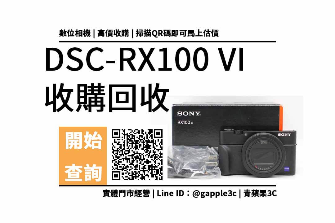RX100 VI 收購